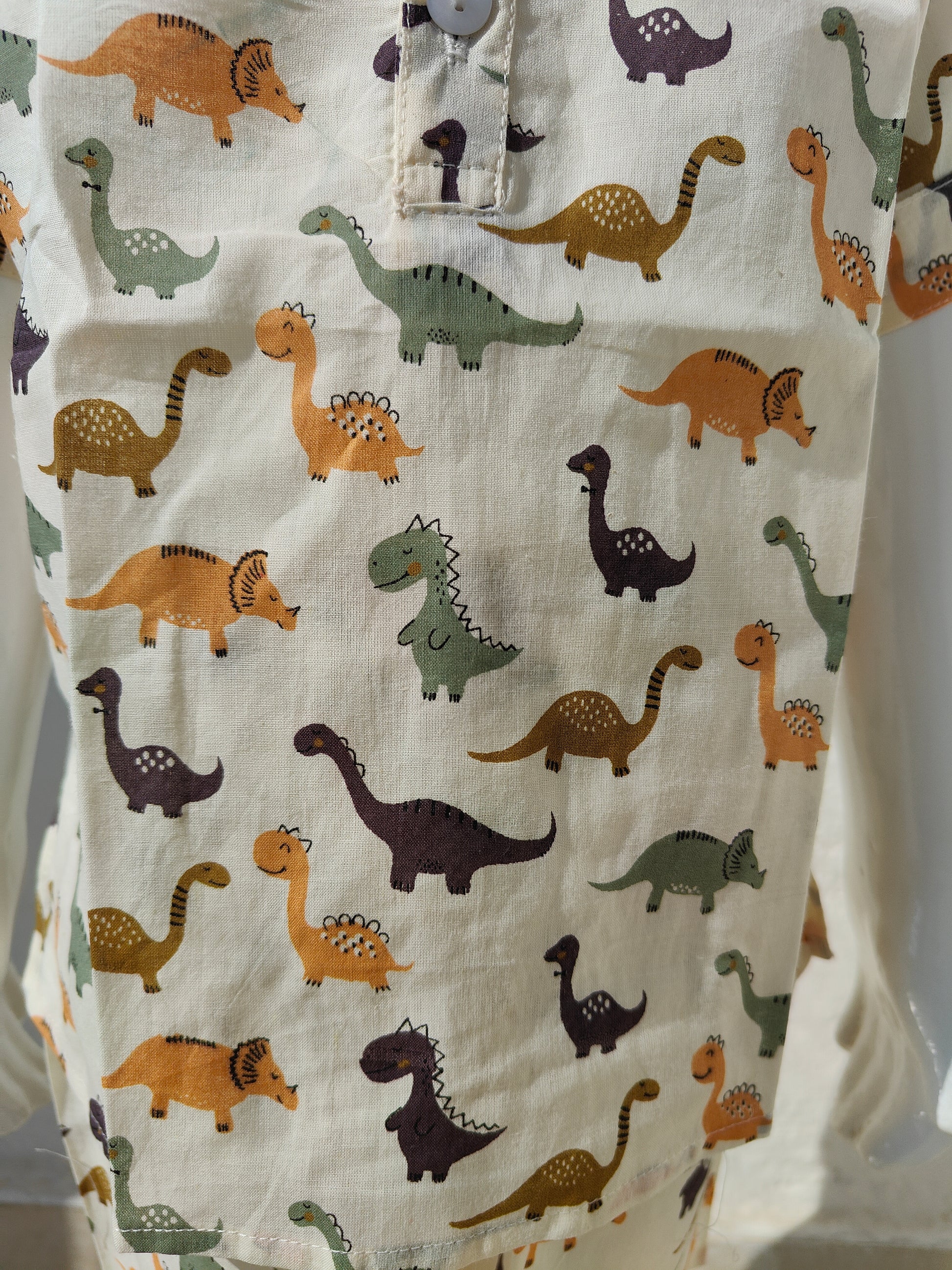 Pastel Dino Full Sleeve Unisex Coord Set