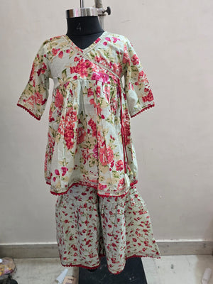 Pink Rani Floral Sharara